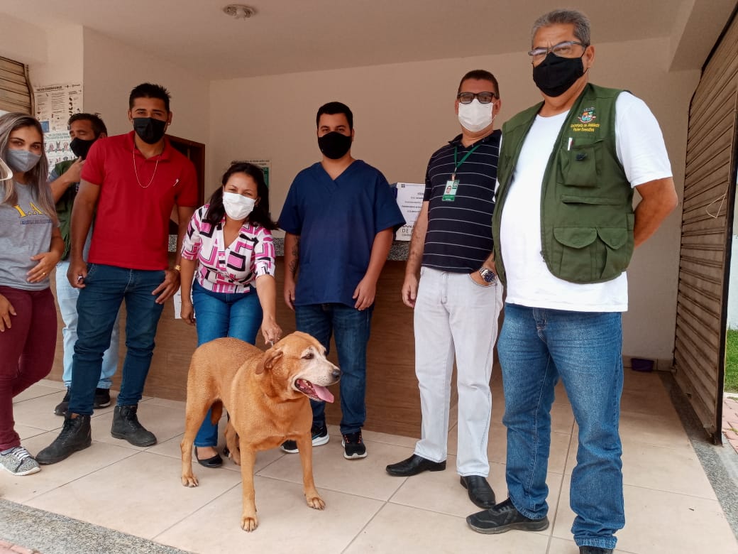 clinica animal Iguaba Grande
