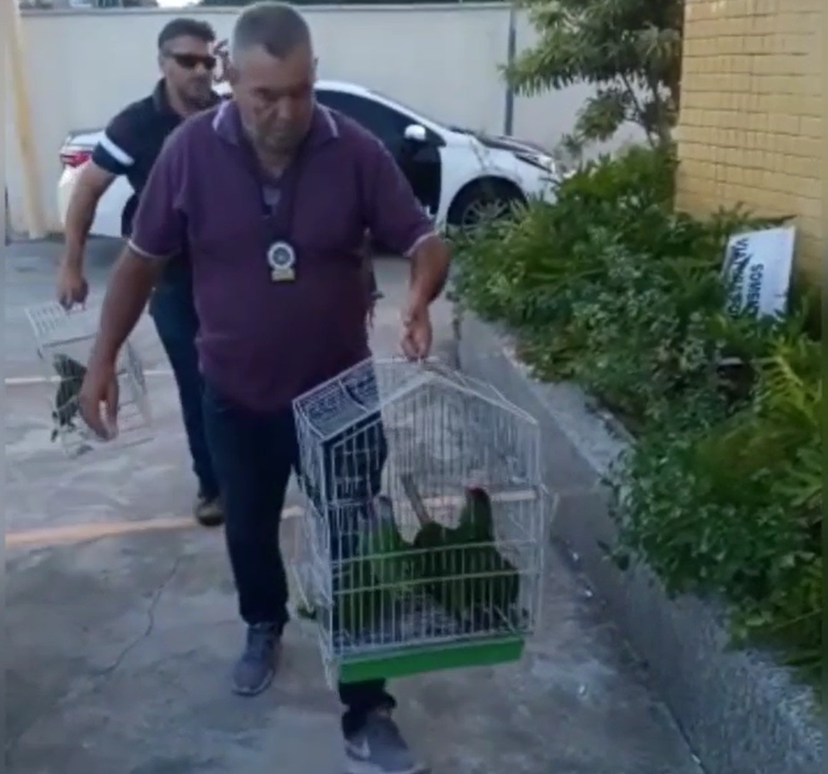 Homem é preso em Rio das Ostras por capturar papagaios e revender em várias regiões do estado do Rio