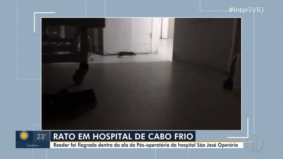 Rato é flagrado dentro da ala do pós-operatório de hospital em Cabo Frio, no RJ; VÍDEO