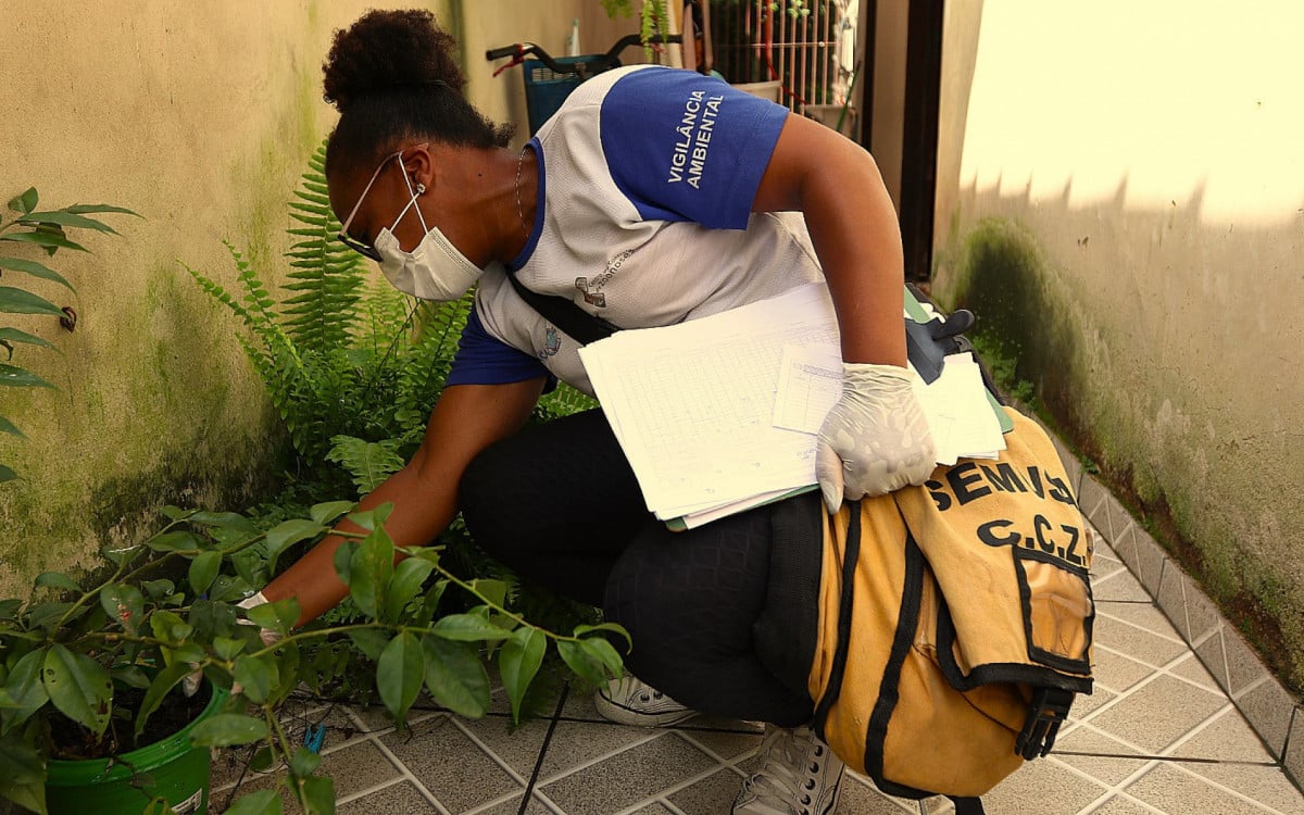 Macaé intensifica ações de combate a mosquitos e roedores em diversos bairros | Macaé