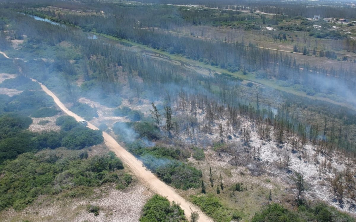 Incêndio de grandes proporções atinge Restinga da Massambaba, em Arraial do Cabo | Arraial do Cabo - Rio de Janeiro