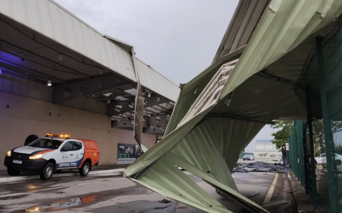 Temporal causa transtornos com queda de árvores e danos a infraestrutura