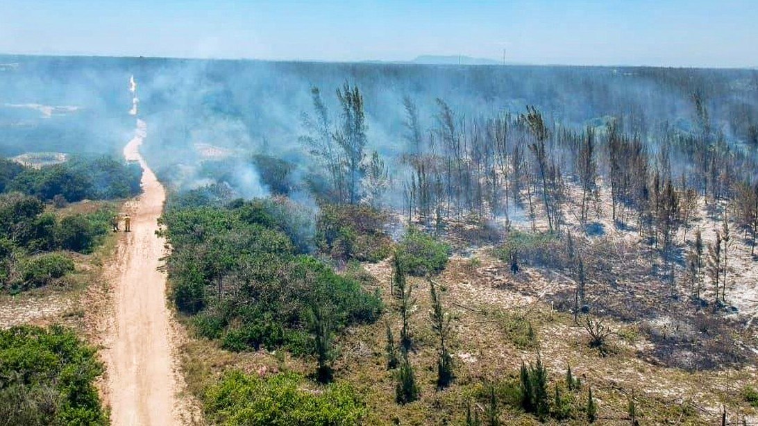 Incêndio atinge parque natural em Arraial do Cabo, na Região dos Lagos do Rio de Janeiro - Notícias