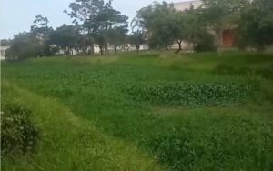 Moradores do bairro Âncora, estão cobrando do Poder Público as ações prometidas para a localidade