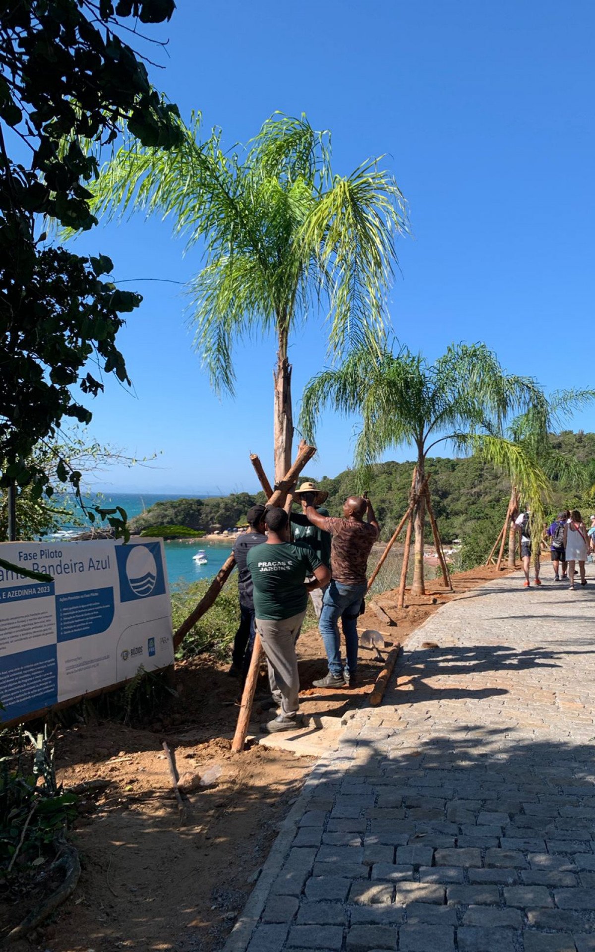 Plantios de mudas nativas marcam uma nova fase na Praia Azeda | Búzios