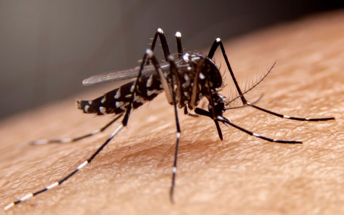Todos Contra a Dengue: Prefeitura de Araruama alerta moradores sobre as medidas de combate à proliferação do Aedes aegypt | Araruama