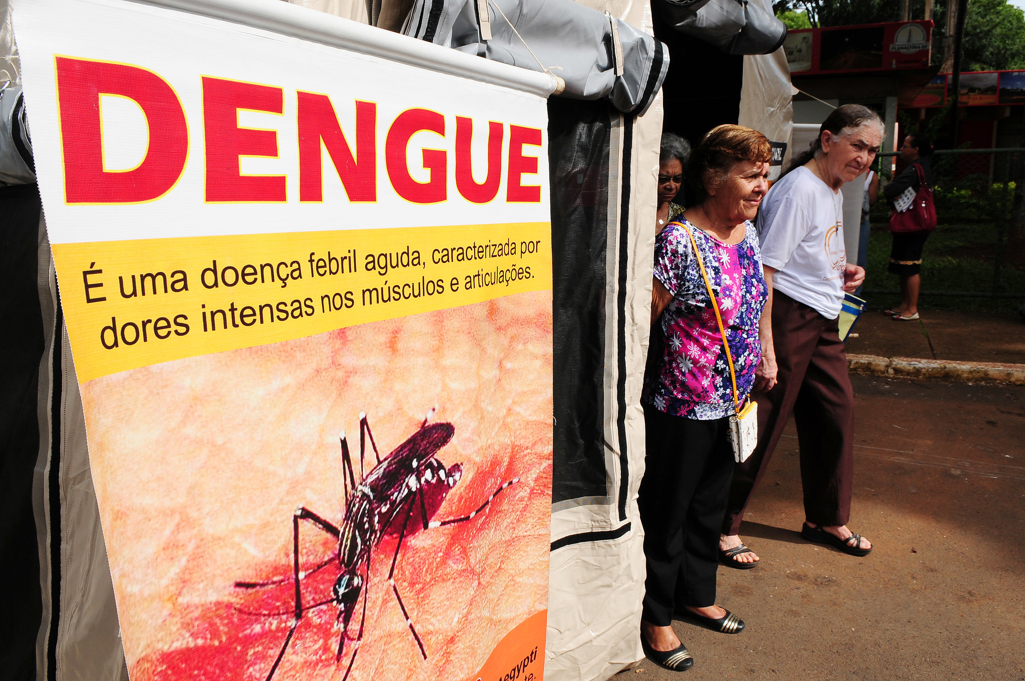 Brasil teve recorde de mortes por dengue em 2023