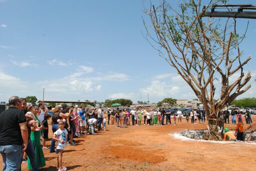 figueira plantio condomínio