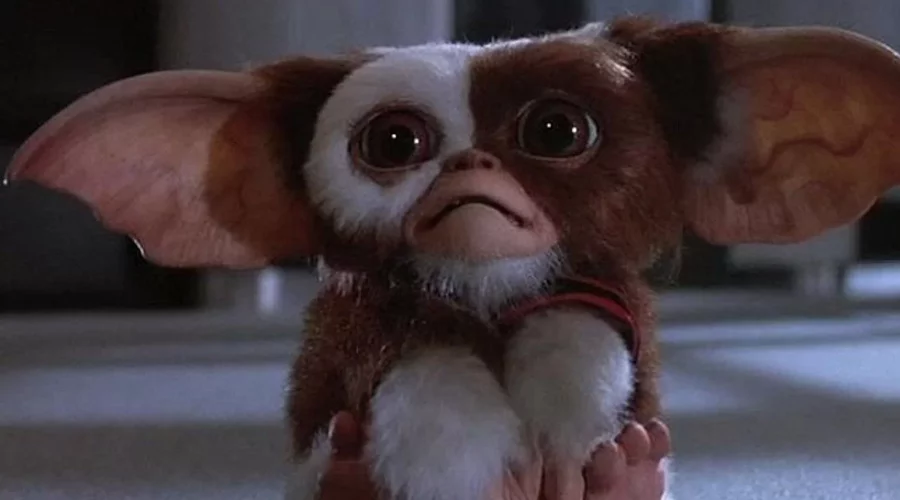 Governo identifica maldade em Gremlins
