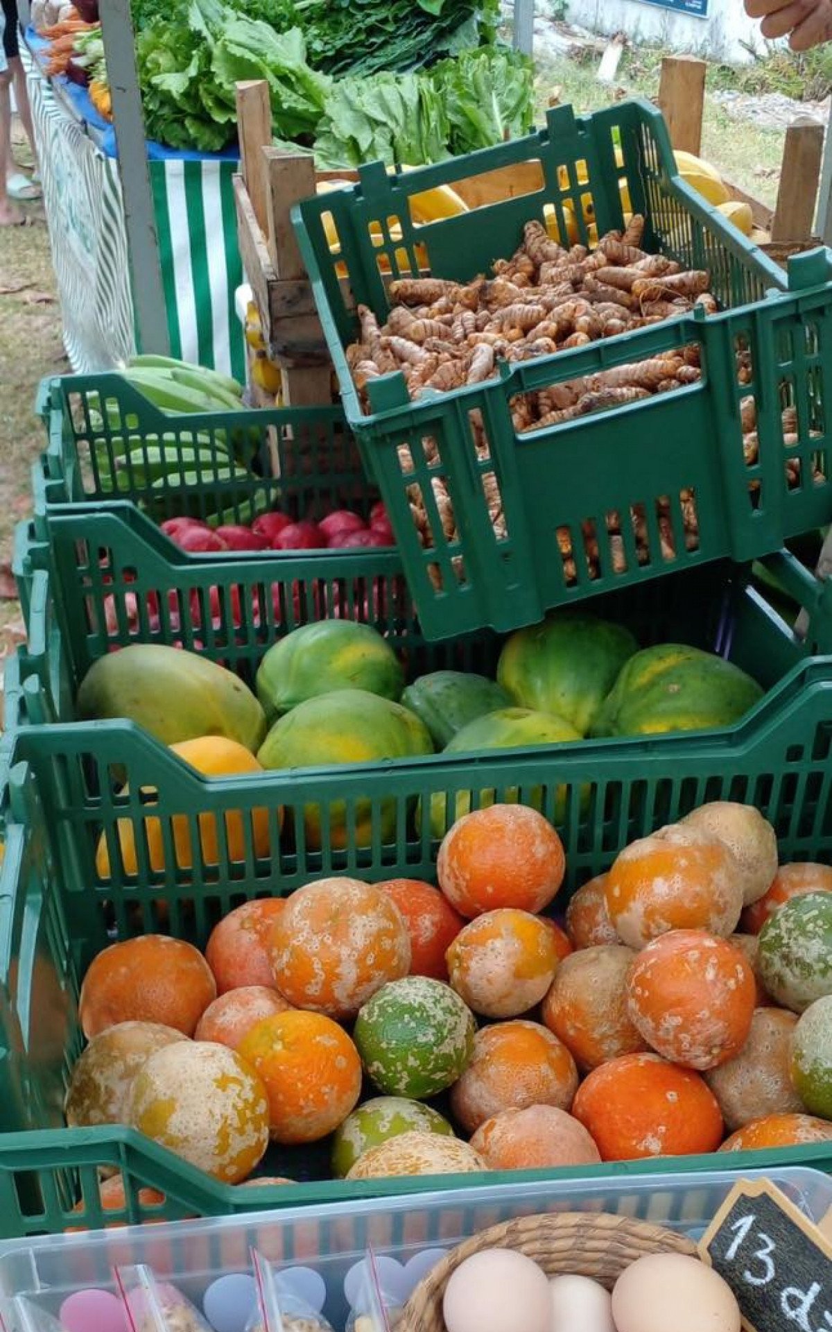 Saquarema terá feira agroecológica neste sábado  | Saquarema