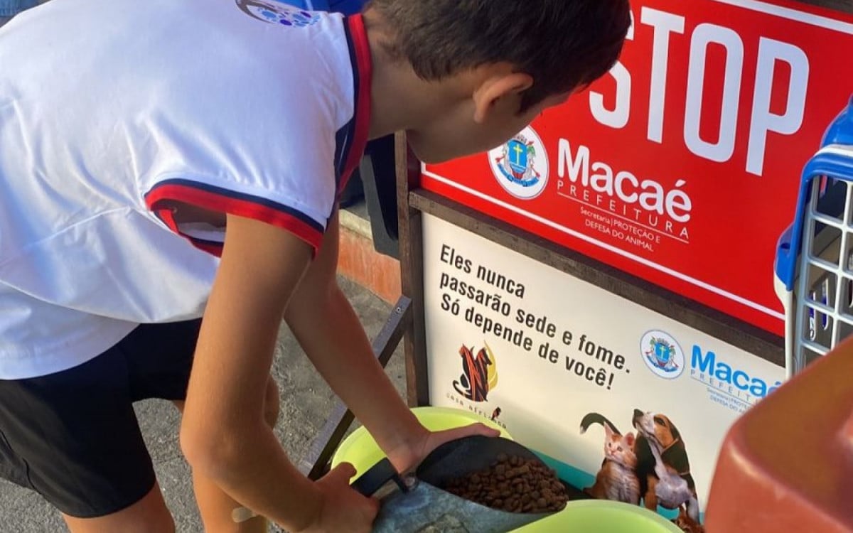 Projeto "Alimente um Cão em Situação de Rua" busca melhorar qualidade de vida dos animais em Macaé | Macaé