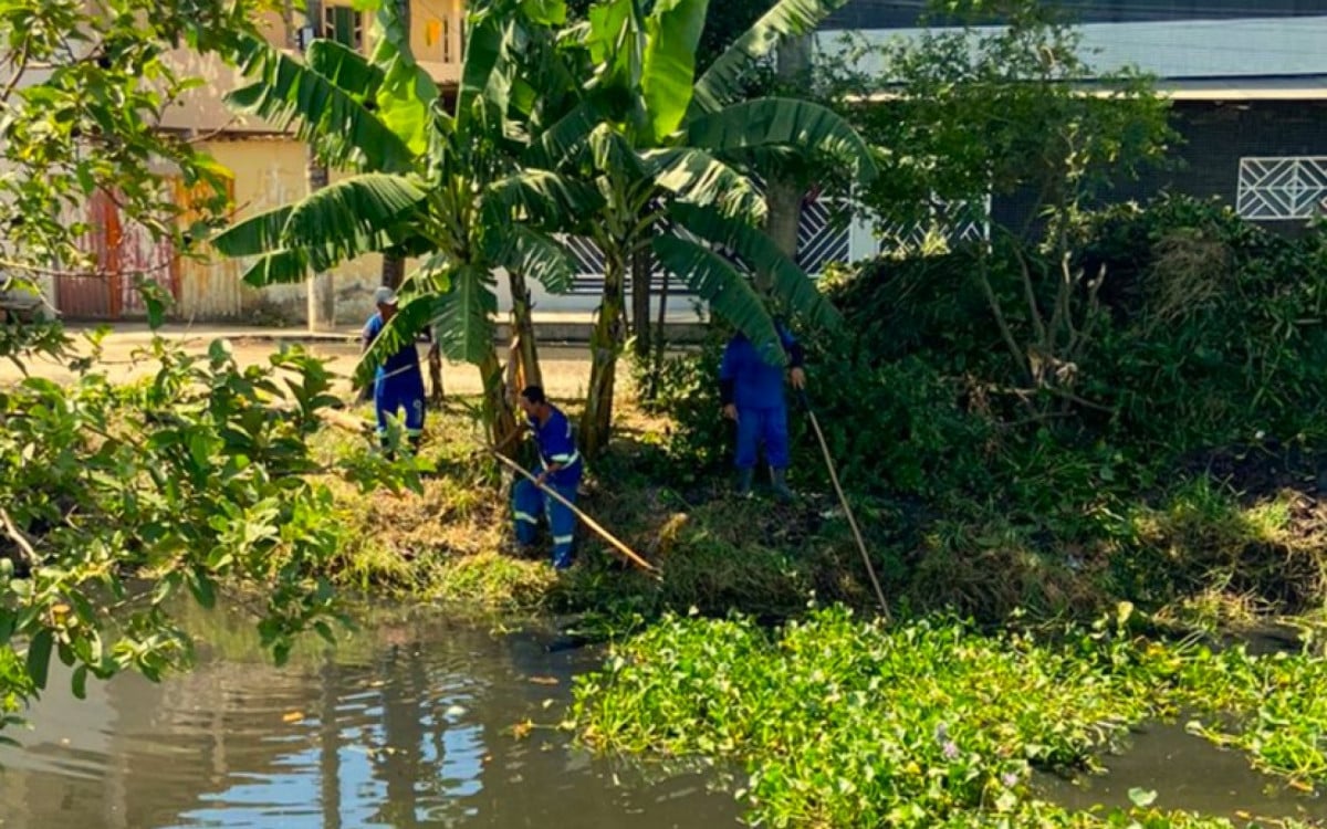 Macaé intensifica ações contra mosquitos | Macaé