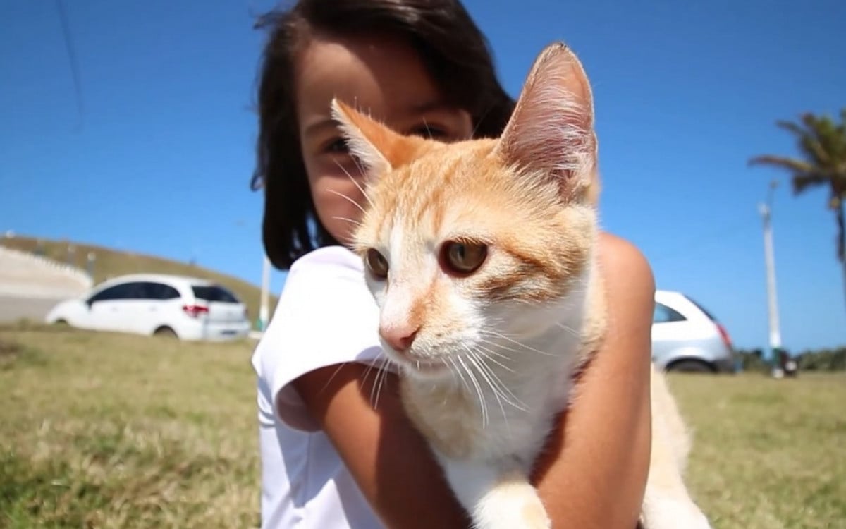 Campanha de Adoção de Animais Domésticos acontece neste sábado em Saquarema | Saquarema