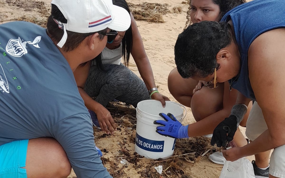 Ação contou com a participação de 70 voluntário numa ação que durou 45 minutos