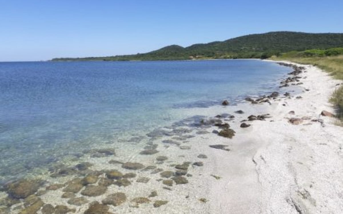 Praia das Pedras de Sapiatiba terá projeto "Conhecendo Nossa Praia" neste sábado (3) em São Pedro | São Pedro da Aldeia