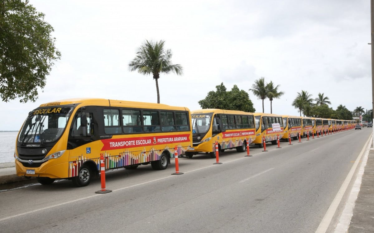 Os veículos foram adquiridos com recursos próprios do município. Além de contarem com 44 lugares cada, os ônibus são confortáveis e seguros, incluem rádio, monitor e possuem acessibilidade