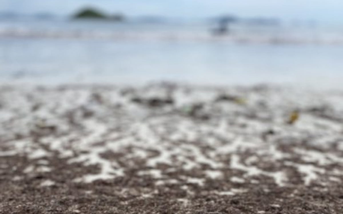 Acúmulo de algas após tempestades em Arraial do Cabo atrai atenção de visitantes | Arraial do Cabo - Rio de Janeiro