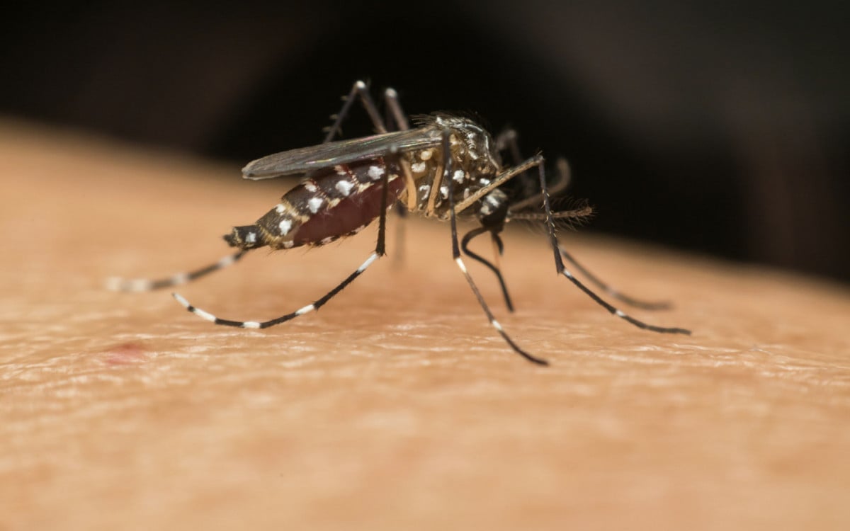 Próximo Dia D de combate à dengue em Araruama vai acontecer no distrito de Iguabinha | Araruama