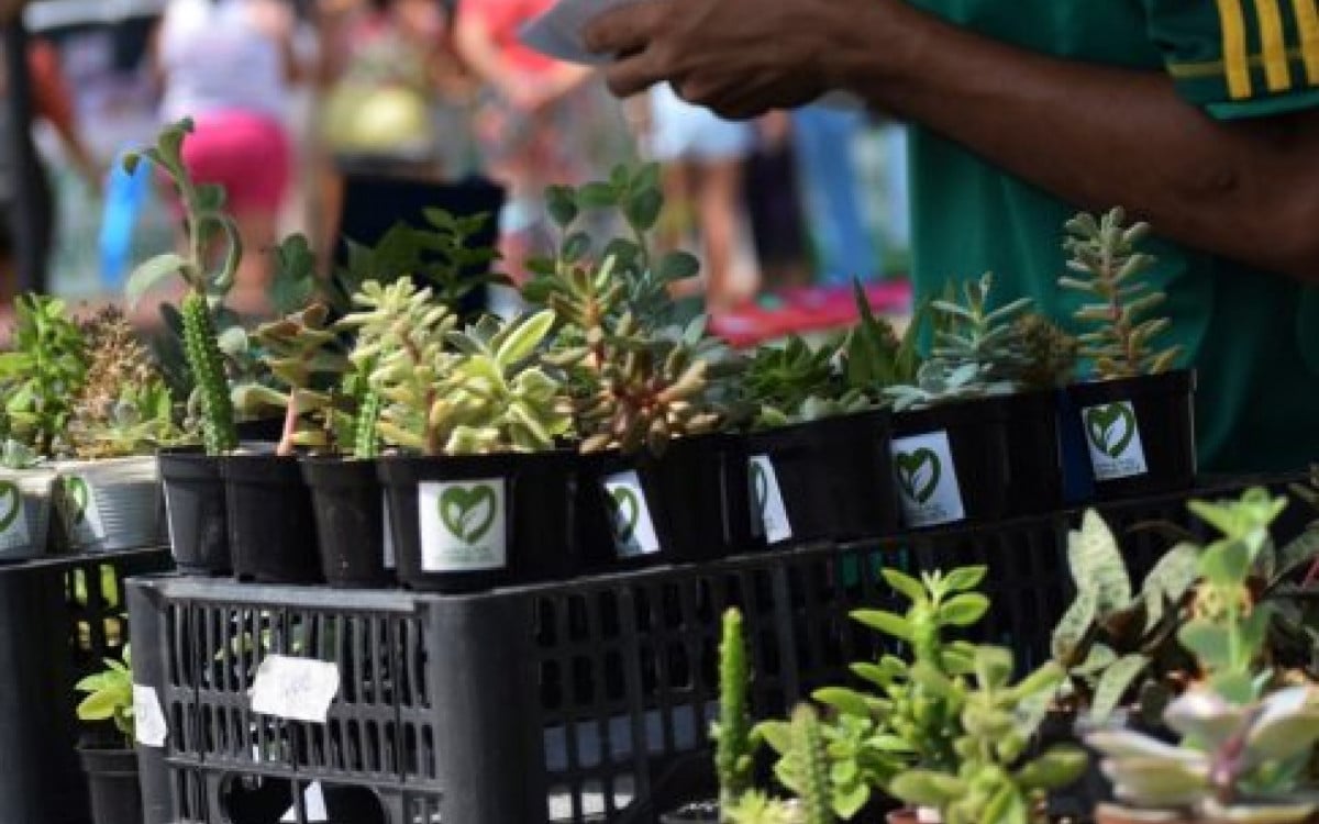 Iguaba Grande inicia as comemorações da Semana do Meio Ambiente neste sábado (1) | Iguaba Grande