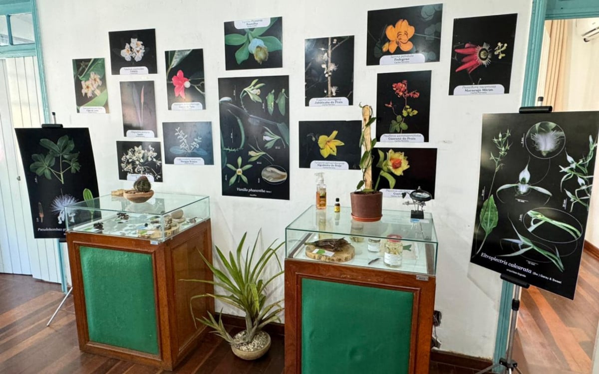 Casa de Cultura recebe exposição biocultural Belezas e Saberes de Saquarema | Saquarema