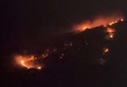 Três incêndios atingem Arraial do Cabo em um único dia; animais morrem e área extensa é devastada