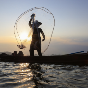 Período de defeso de peixes na Lagoa de Araruama vai até o dia 31 de outubro | Araruama