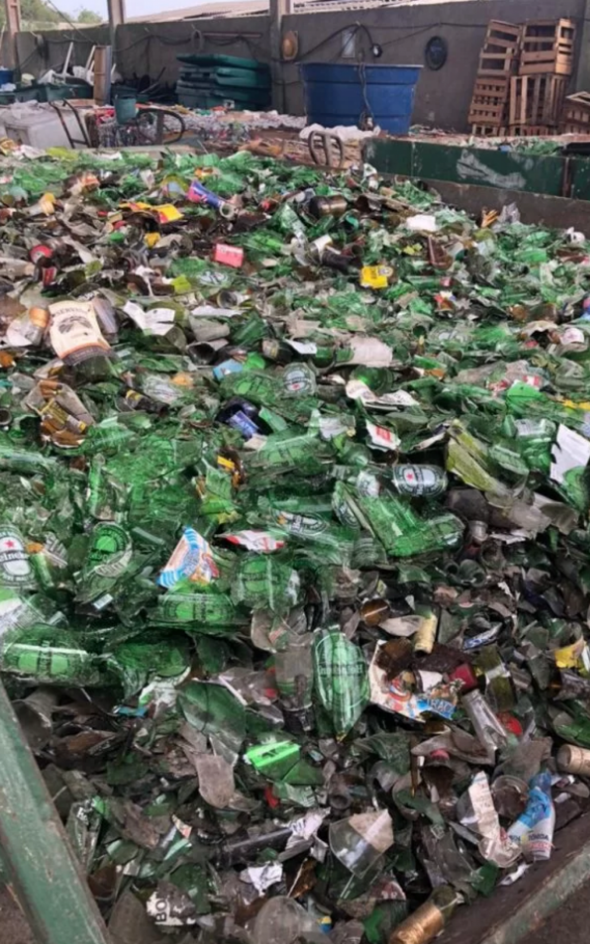 Mais de sete toneladas de vidro são coletadas em Arraial do Cabo | Arraial do Cabo - Rio de Janeiro