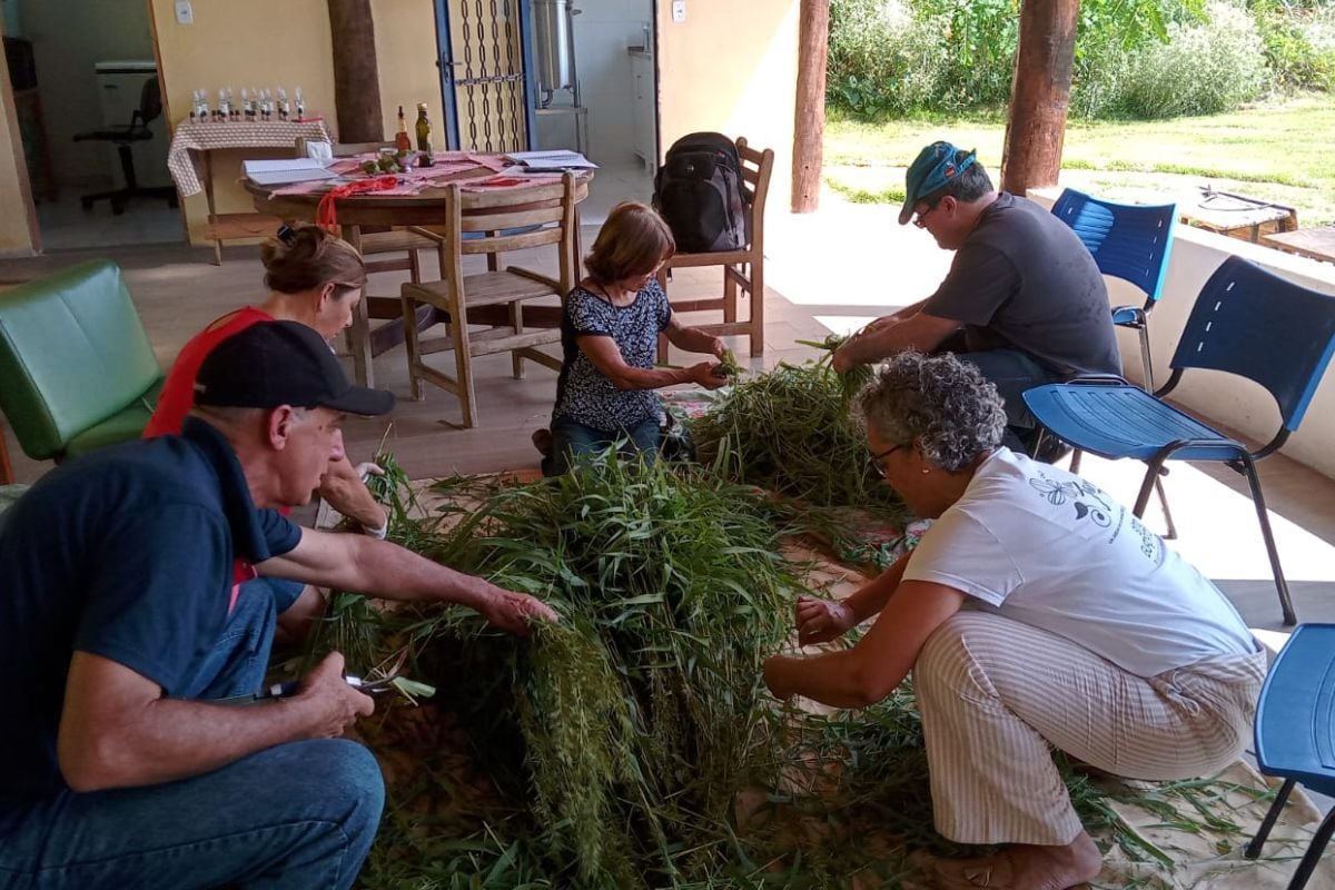 práticas ecológicas