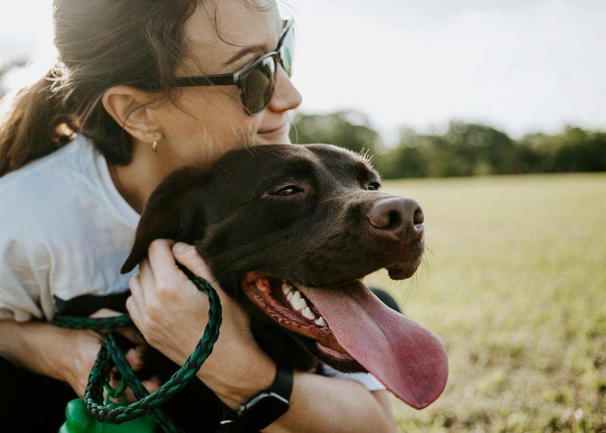 Bichos de estimação podem aliviar depressão e ansiedade