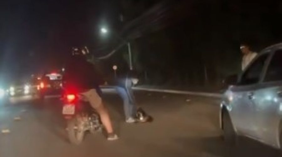 Cabo Frio: Ouriço-cacheiro bloqueia trânsito ao tentar cruzar rodovia