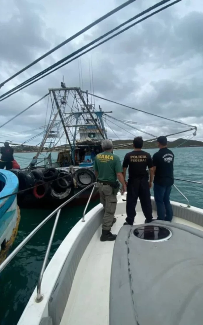 Cerca de 400kg de peixes, provenientes de pesca ilegal, são apreendidos e doados em Arraial do Cabo