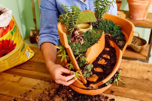 Como usar vaso quebrado para fazer "jardim de fada"