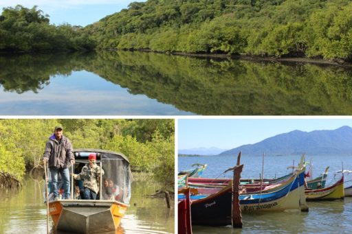 Ministério do Turismo seleciona projetos de conservação ambiental