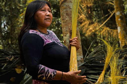 curso Amazônia