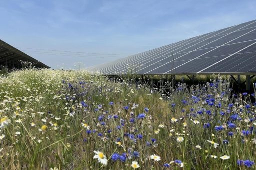 solar biodiversidade