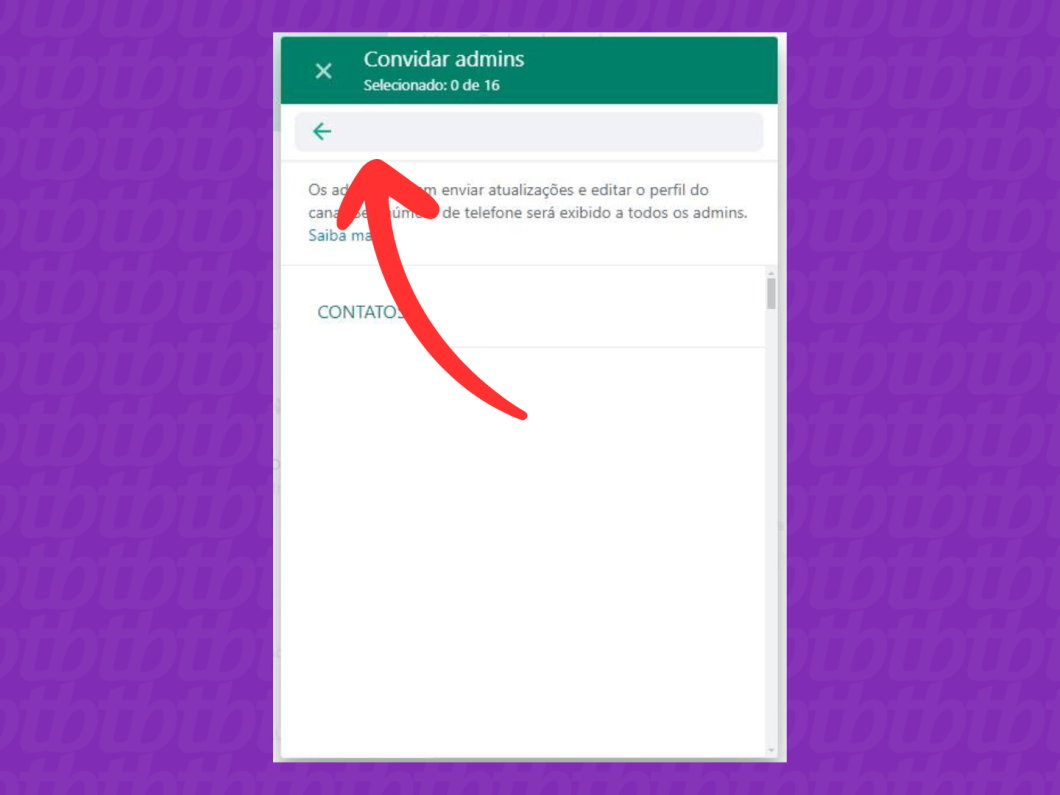 Captura de tela do site WhatsApp Web mostra como pesquisar os contatos para ser admin