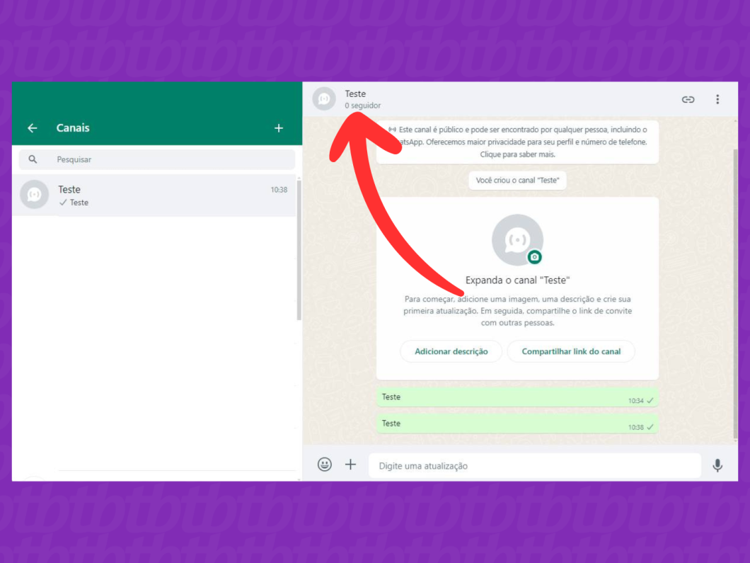 Captura de tela do site WhatsApp Web mostra como abrir o canal