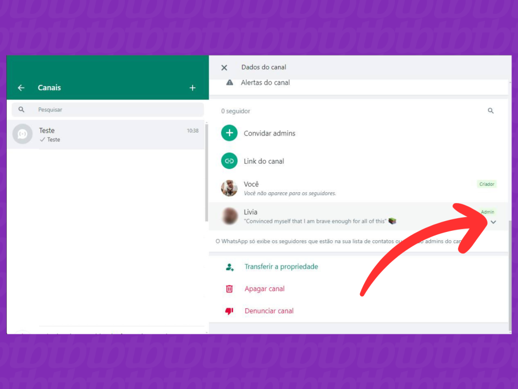 Captura de tela do site WhatsApp Web mostra como acessar o menu Dados do Canal