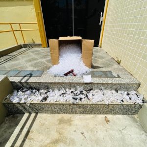 spot_img