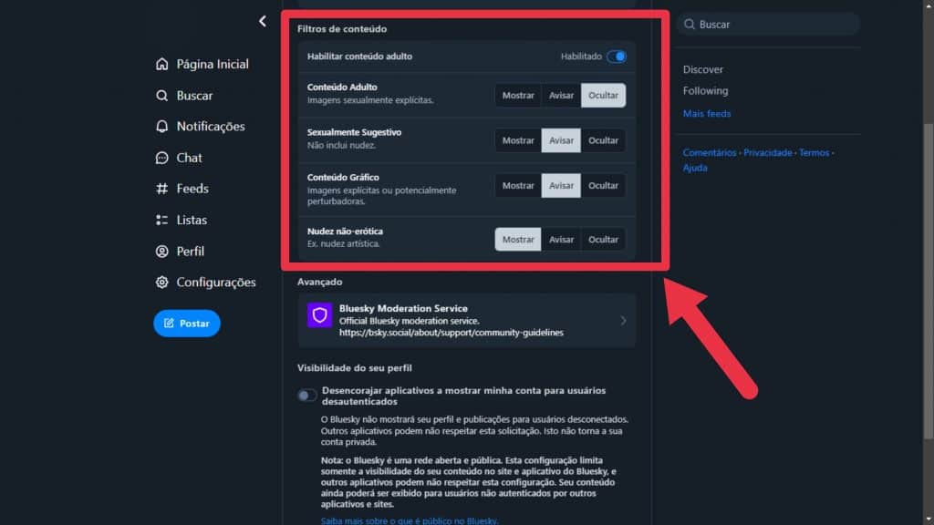 Tipos de filtros para conteúdo adulto no Bluesky