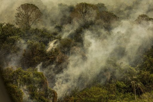 Incêndios florestais no Mato Grosso sobem para 50