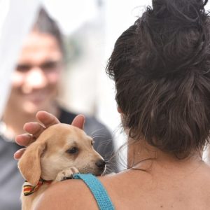 spot_img