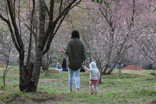 Parque do Carmo Fim de Semana Sustentável