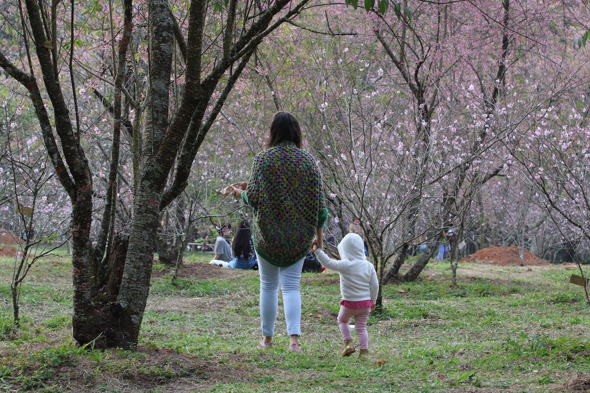 Parque do Carmo Fim de Semana Sustentável