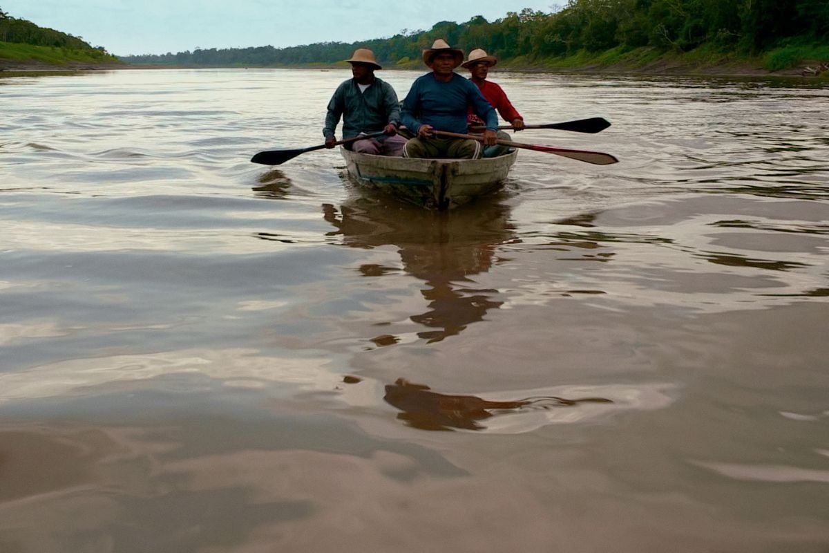 Programação Dia da Amazônia