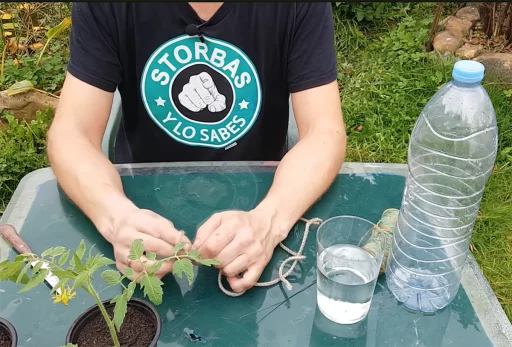 Vídeo ensina a fazer sistema de irrigação caseiro e barato