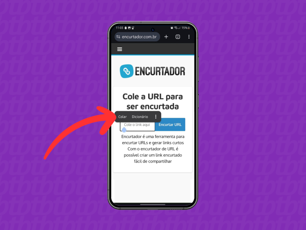 Captura de tela do site Encurtador mostra como colar o link que será encurtado