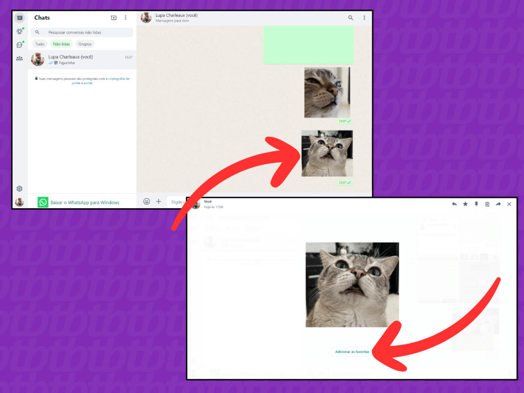 Captura de tela do WhatsApp Web mostra como adicionar a figurinha aos favoritos