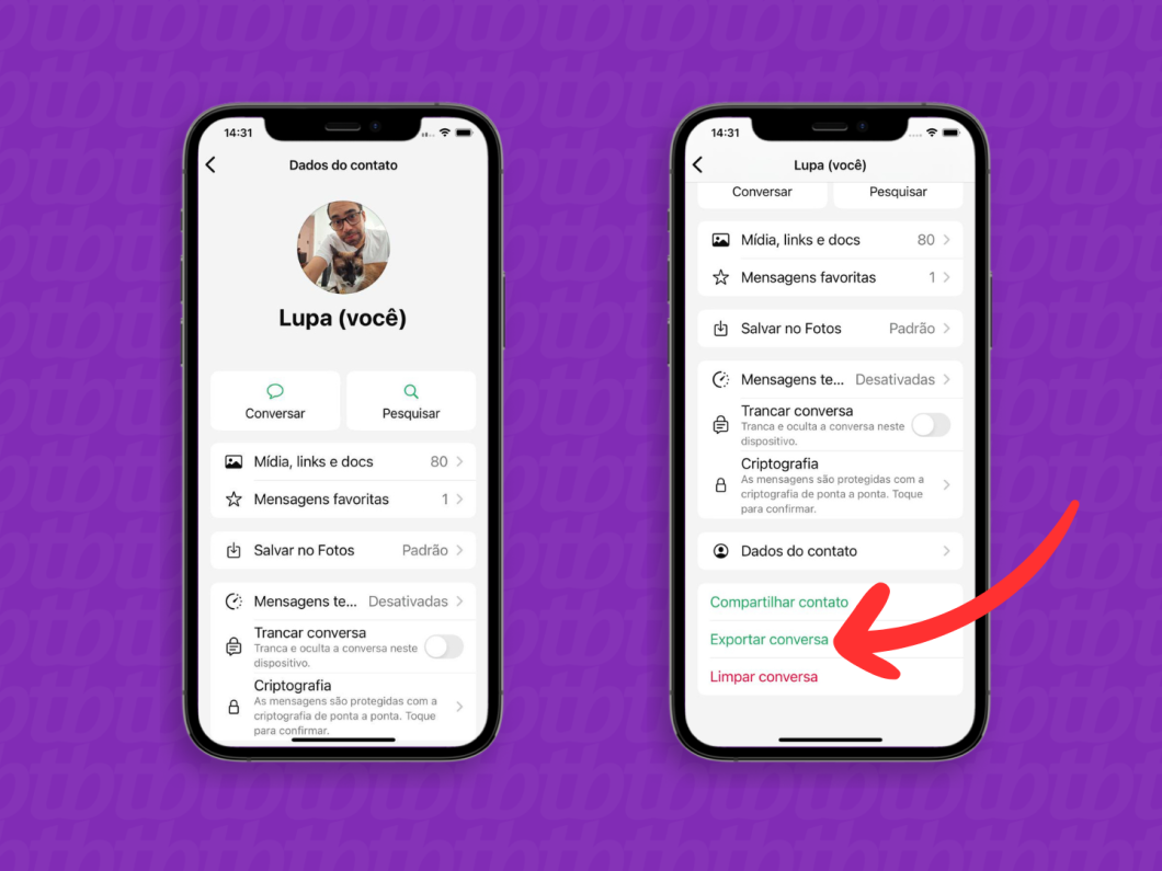 Exportando a conversa do WhatsApp no iPhone
