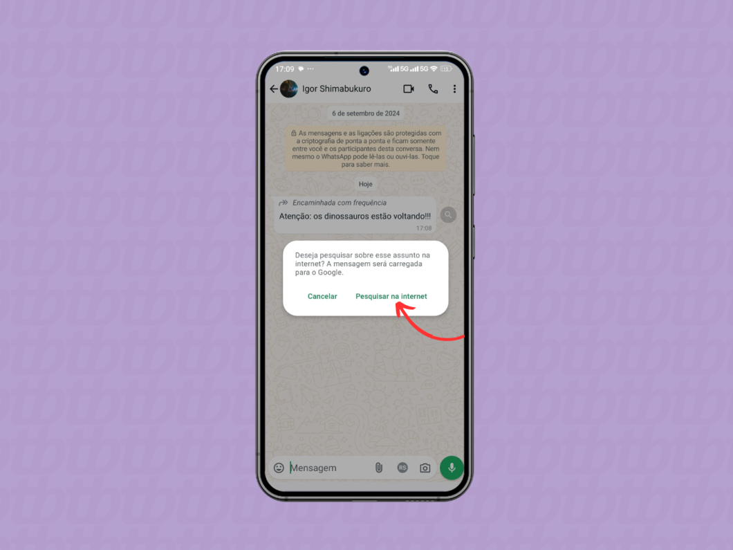 Usando o recurso "Pesquisar na Internet" do WhatsApp